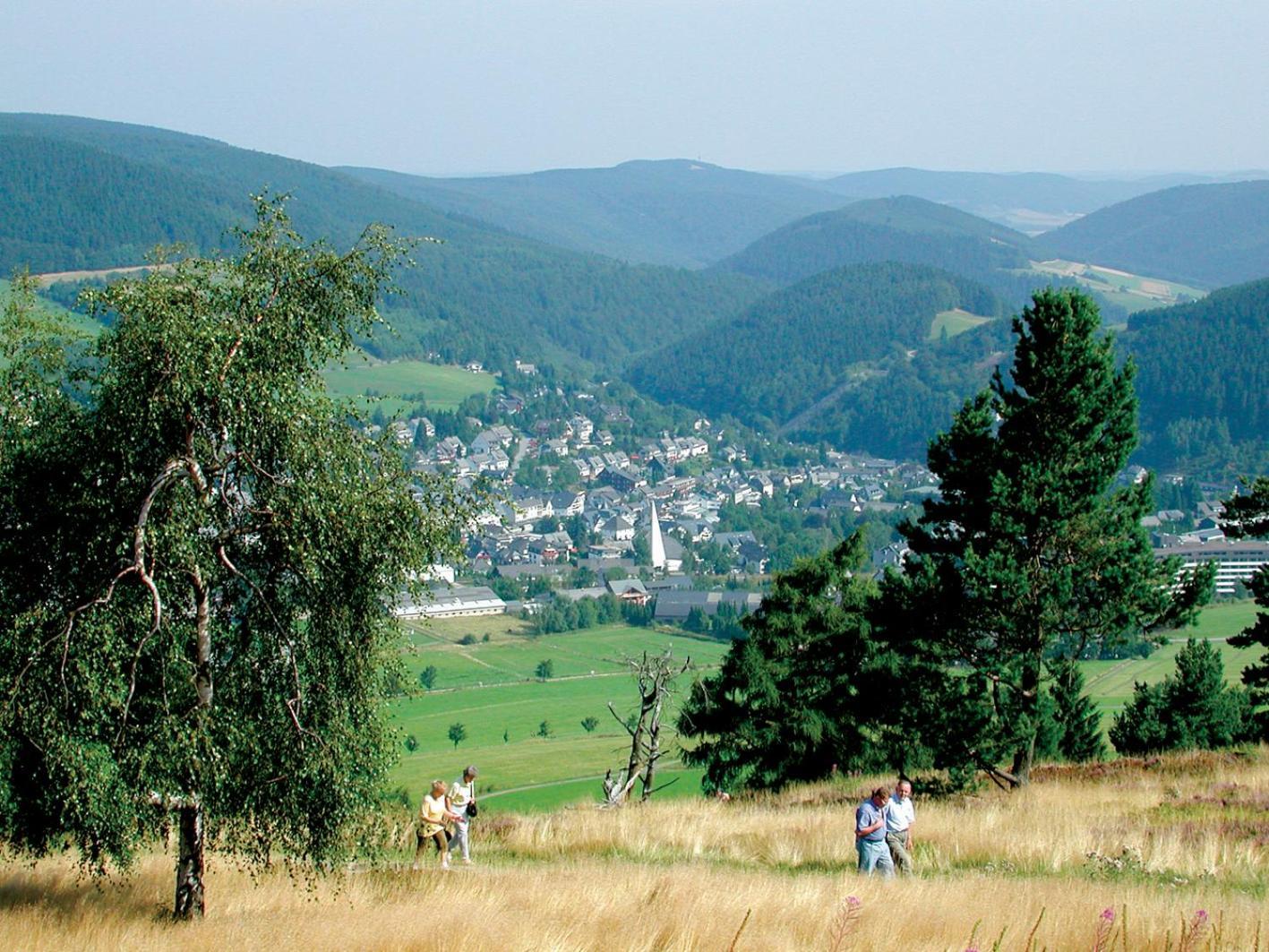 Appartement Happynest*** Mit Hallenbad Willingen  Exterior photo