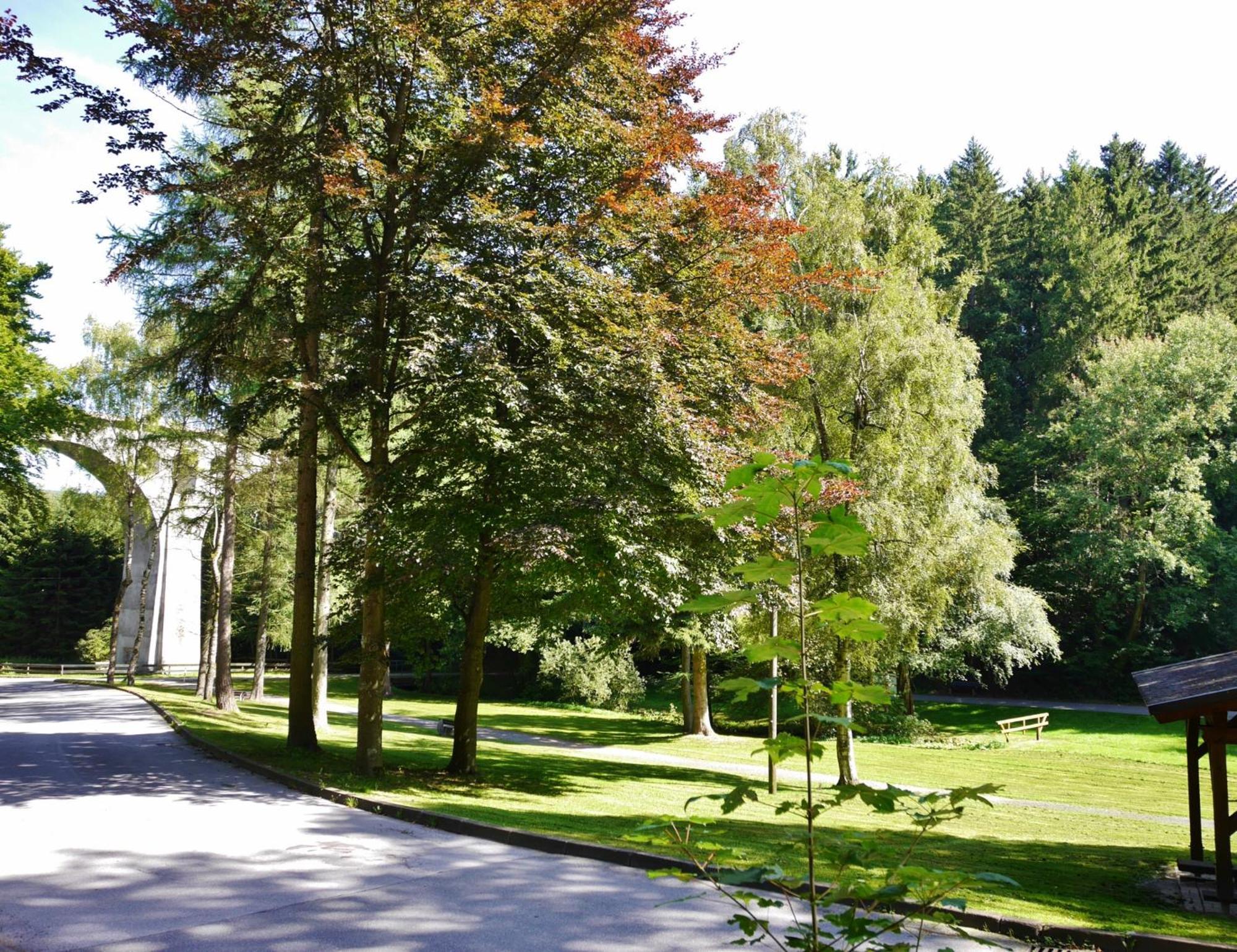 Appartement Happynest*** Mit Hallenbad Willingen  Exterior photo